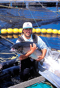 Pesca y Acuicultura Pesca y Acuicultura